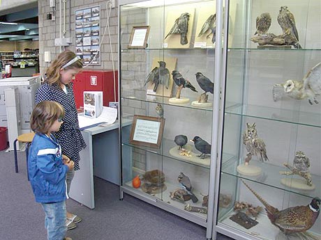 marjolien van viegen preparateur